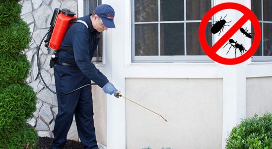 Kınık Bit İlaçlama böcek ilaçlama ve haşere kontrolü — ilaclama-tr.com